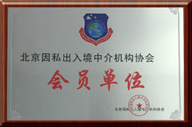 企業榮譽 因私出入境中介服務的卓越成就