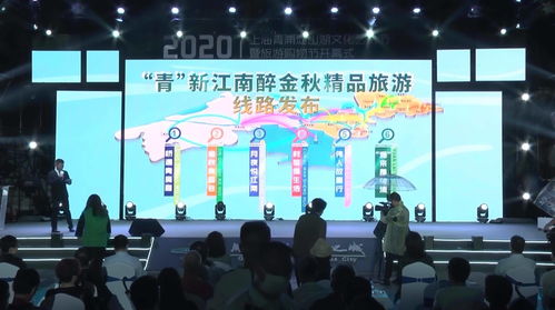 佳節(jié)相連盛會(huì)相接 上海青浦淀山湖文化藝術(shù)節(jié)暨旅游購物節(jié)開幕，文化藝術(shù)交流策劃服務(wù)閃耀舞臺(tái)